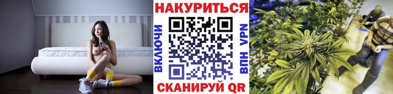 Шишки марихуана гибрид  Хадыженск 